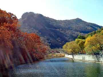 澳门二四六天天彩图库，大新seo外包